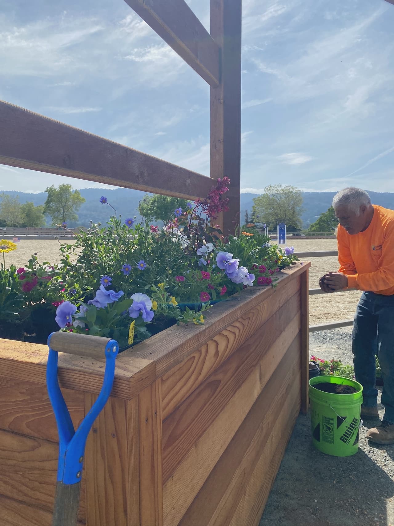 A Rosewood crew member planting annuals into a new redwood planter box, tools and bucket to hand.