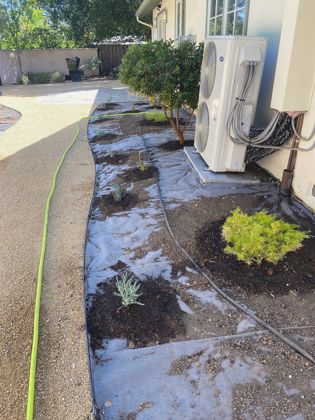 Drip irrigation tubing pinned out across a planting bed over woven weed fabric, before mulch.